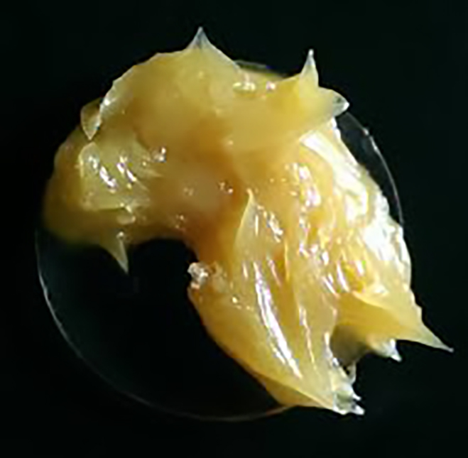 ASPPC 503 Cable Jelly